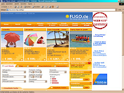 www.fligo.de